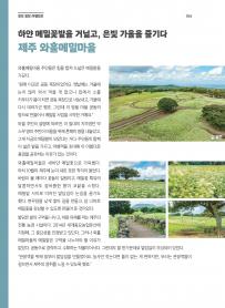 2026년 10월 월간산란계 표지